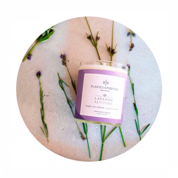 lavender altitude candle with background