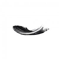 Lengthening Mascara n°81 Black - Image 2