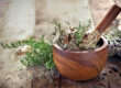 Pestle and Mortar, healing power of plants, natural, organic, organic skincare, v claire natural beauty