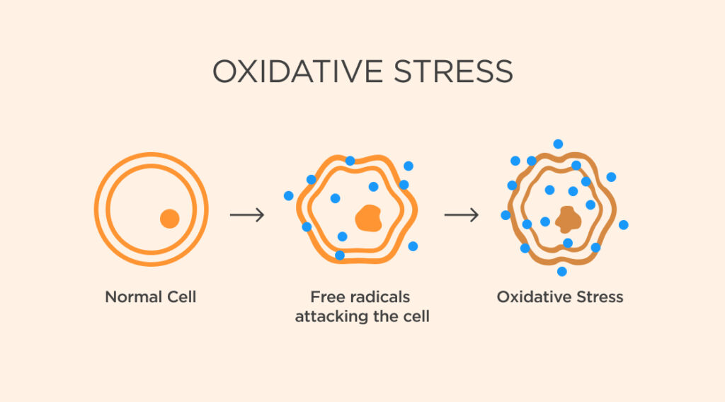 Oxidative Stress 
