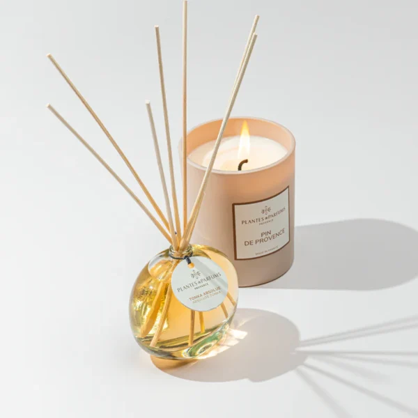 Candle Provence Pine Tree - Image 2