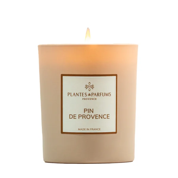 candle-provence-pine -tree-scent-natural-soya-wax