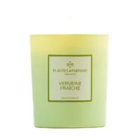 Fresh Verbena Candle